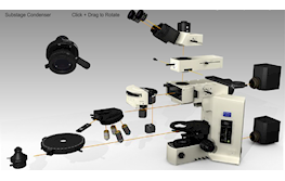 Polarized Light Microscope Assembly