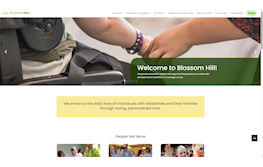 Blossom Hill Website Features
